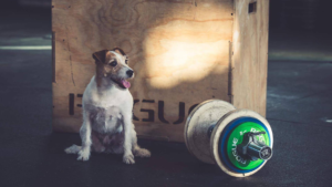 full body crossfit workouts dumbbell clean