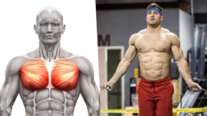 Chest-Workouts-athletes Perfect Chest Workout in Only 20 Minutes 10 Minute Home Chest Workout Dumbbell Exercises for Chest Workouts