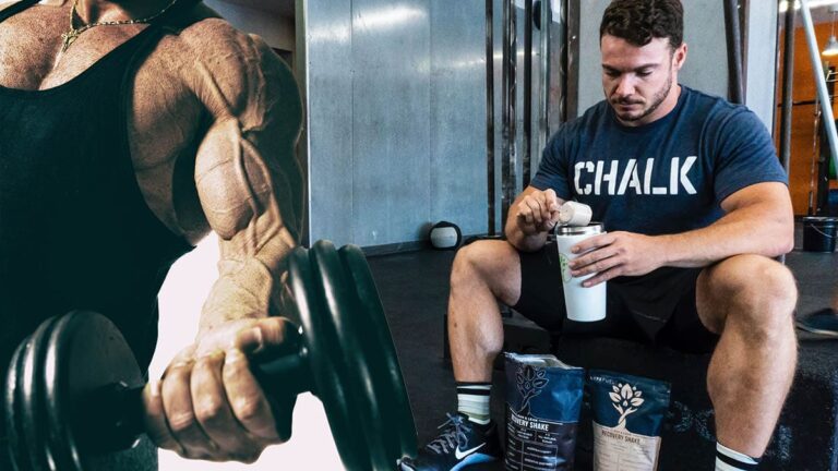 Supplements Guide – All You Need to Know