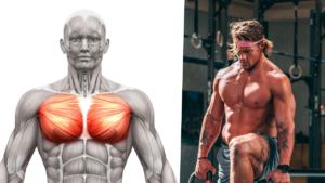 Sam-Dancer-Chest-Muscles Chest Finisher Exercises