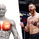 Chest-muscles-of-athlete Best Lower Chest Solution to Get Defined Pecs how to bulk up fast The Perfect Chest Workout Best Exercises for a Bigger Chest Benefits of The Incline Barbell Press Benefits of Dumbbell Floor Press Grow a Bigger Chest