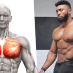 Upper-Body-Chest-Muscles How to Get that Shredded Look Fast Rare Upper Chest Exercises Brutal 100 Rep Chest Workout