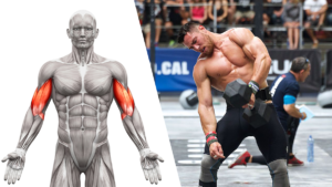 Bigger-arms How to Get Bigger Arms in Less than 30 Days Benefits of Zottman Curls