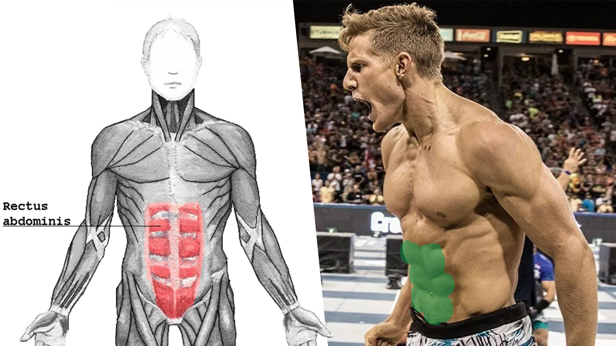 Brent-Fikowski-Abs Best Ab Workout Tip Best Dumbbell Exercises for Six Pack Abs How to Build Incredible Abs with the Hanging Leg Raise