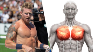 Chest-muscles-james-newbury Best Way to train the Chest for Hypertrophy-Incline Bench Press Build More Muscle Mass for the Lower Chest How to Get a Better Chest in 22 Days Exercises for Fuller Upper Pecs How to Build Chest Muscle Mass for Your Lower Pecs How to Get Bigger Upper Pecs Commandments of Chest Training 3 Better Exercises for Building a Perfect Chest
