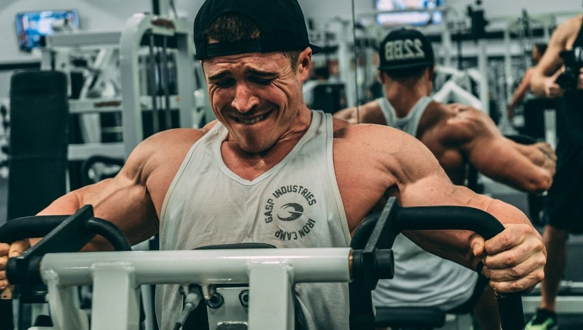 Cheat Reps