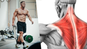 Athlete-During-Trap-Workout
