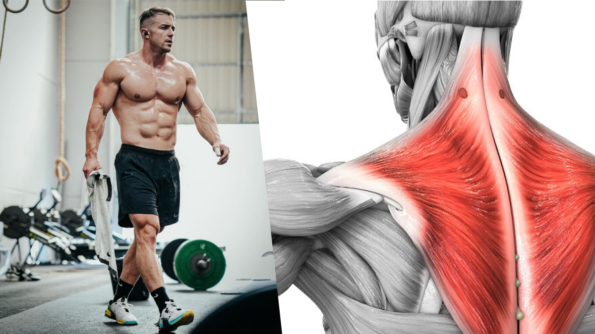 Athlete-During-Trap-Workout