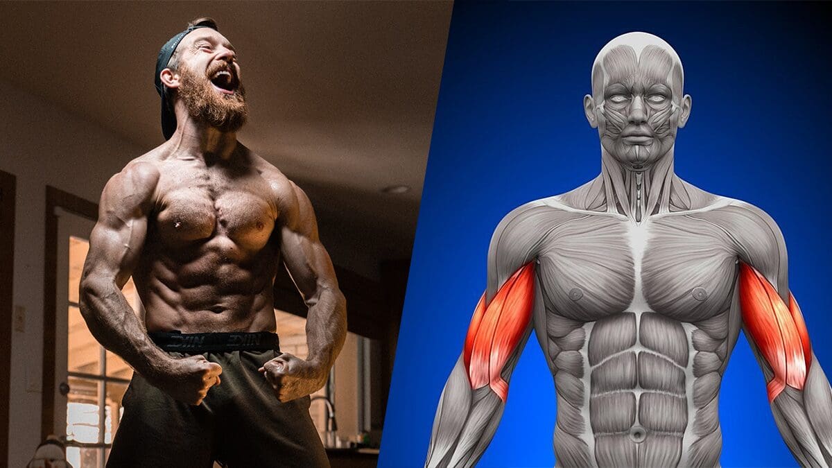 Perfect Biceps Workout for Incredible Arms