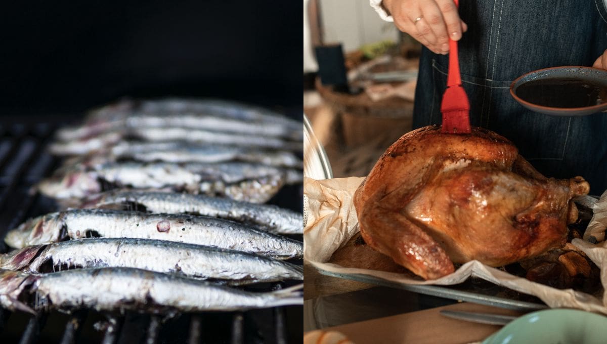 Fish vs chicken