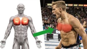 benefits of dumbbell chest flyes