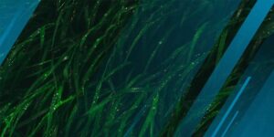 Algae