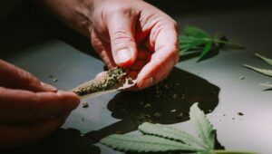 What Happens If You Smoke Marijuana Before the Gym?
