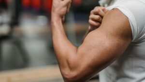 Big bicep