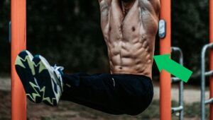 serratus anterior