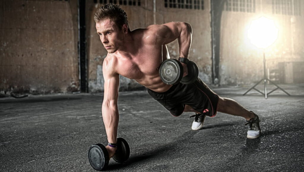Best 5 Tips for Beginners that Want to Build a Muscular Back in 2026