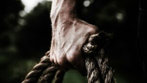 Grip Strength Exercises