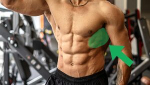 serratus anterior