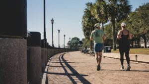 Zone 2 Cardio Training