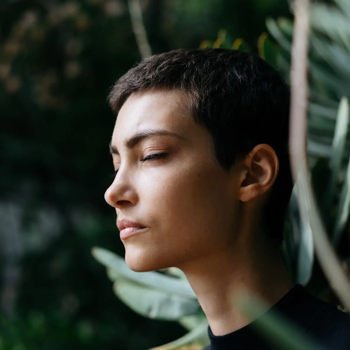 Meditation