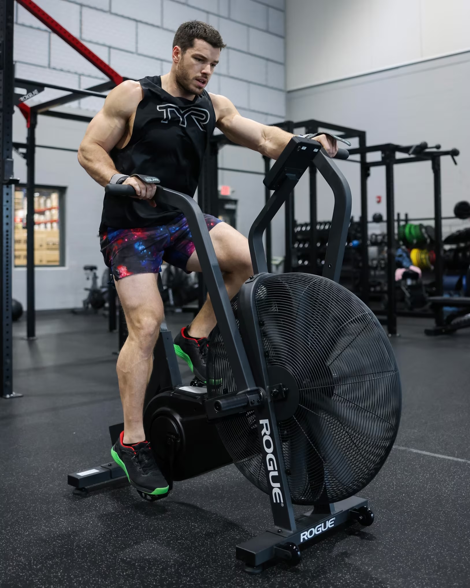 Rogue Echo Bike