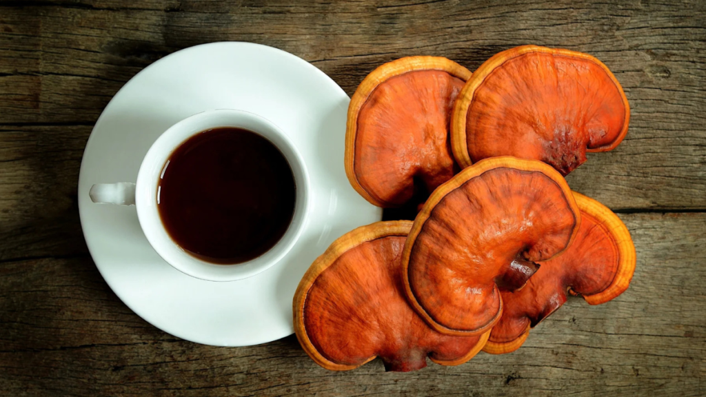 7 Huge Reasons Why Reishi Mushrooms Reduce Stress and Enhance Sleep for Athletes